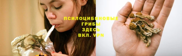 Альфа ПВП Богданович